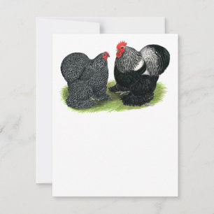 Cochins: zilverbesmeurd