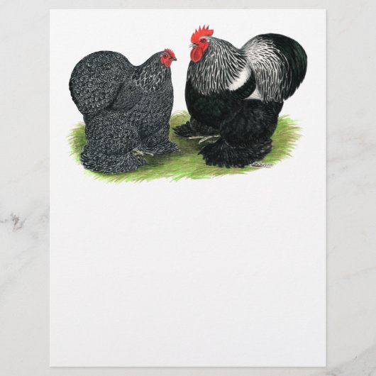 Cochins: zilverbesmeurd flyer (Voorkant)