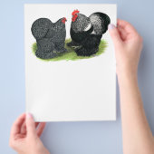 Cochins: zilverbesmeurd flyer (Hand)