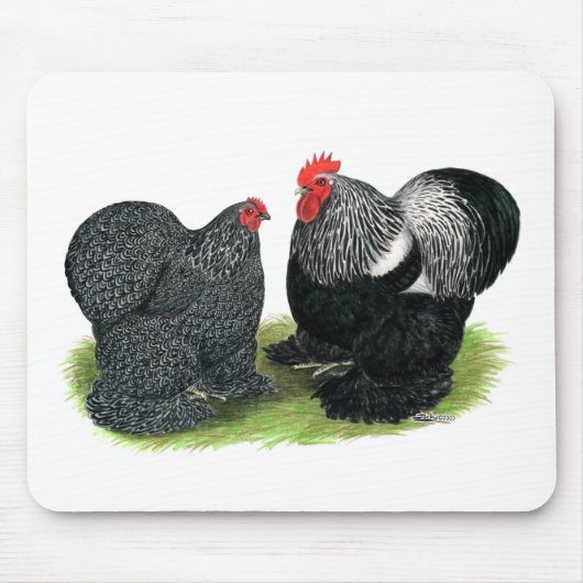 Cochins: zilverbesmeurd muismat (Voorkant)