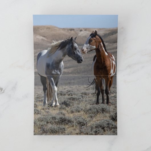 Cochise and Sky Dancer Greeting Card (Binnen)