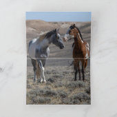 Cochise en Sky Dancer Wenskaart (Binnen)