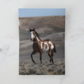 Cochise Runs Greeting Card (Binnen)