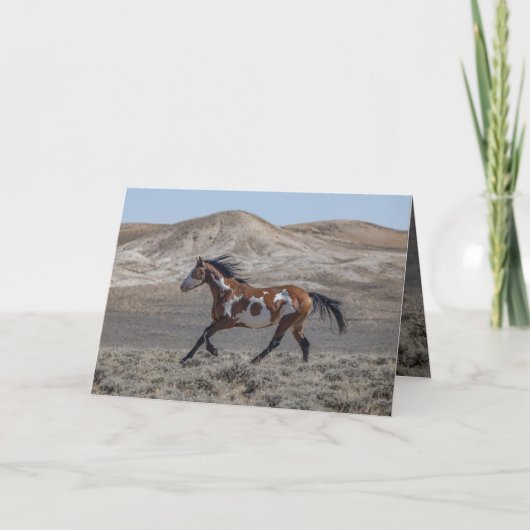 Cochise Runs Greeting Card (Voorkant)