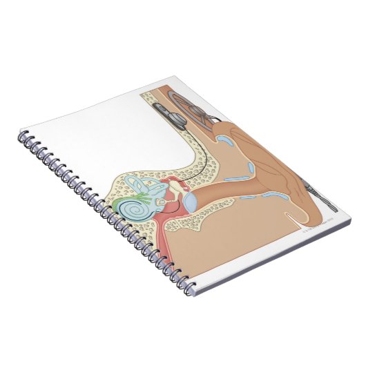 Cochlear Implantaten Notitieboek (Rechterzijde)