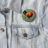 Cock-A-Doodle-Do Ronde Button 5,7 Cm (In situ)
