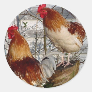 Cock-a-doodle-do Ronde Sticker
