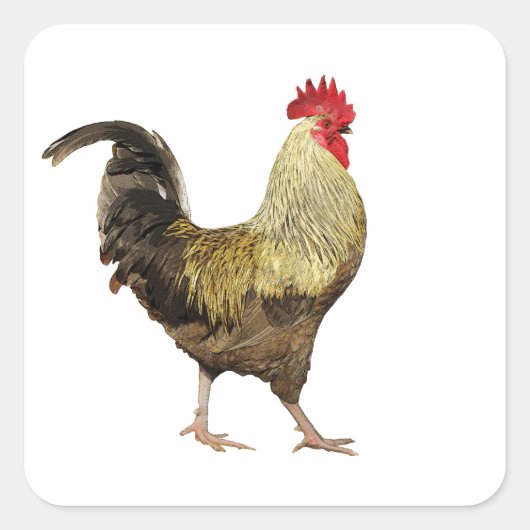 Cock-A-Doodle-Doo-vellen van Stickers (Voorkant)