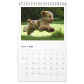 Cockapoo Agenda 2018 Kalender (Mar 2026)