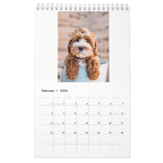 Cockapoo Agenda 2018 Kalender (Feb 2026)