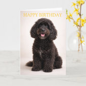 Cockapoo Birthday Card Cute Dog Minimal Design Kaart (Gele Bloem)
