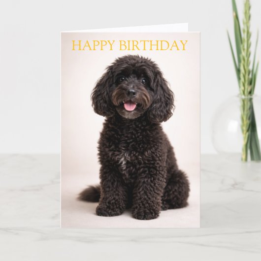 Cockapoo Birthday Card Cute Dog Minimal Design Kaart (Voorkant)
