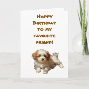 Cockapoo Birthday Kaart – Schattigee aangepaste ho