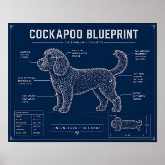 Cockapoo Blauwdruk Muur Kunst Hond Liefhebber Cade Poster (Voorkant)