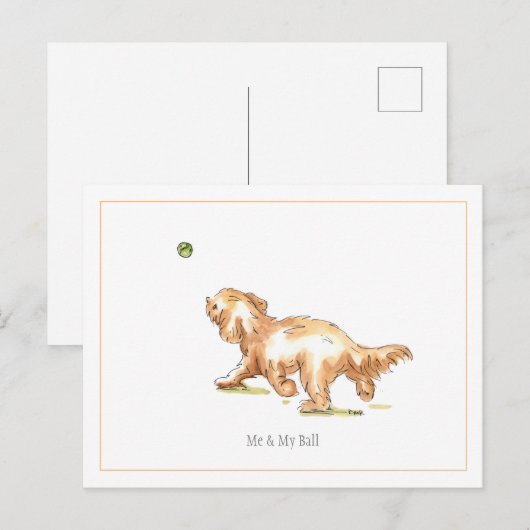 Cockapoo-Briefkaart "Ik en mijn bal" Briefkaart (Voorkant / Achterkant)