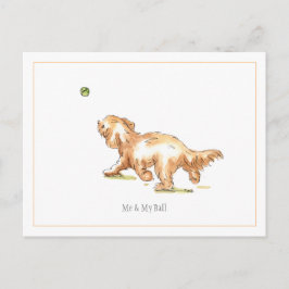 Cockapoo-Briefkaart "Ik en mijn bal" Briefkaart