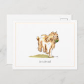 Cockapoo-Briefkaart "Ik en mijn bal" Briefkaart (Voorkant / Achterkant)