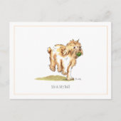 Cockapoo-Briefkaart "Ik en mijn bal" Briefkaart (Voorkant)