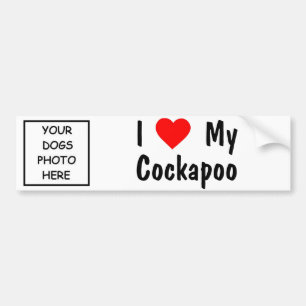 Cockapoo Bumpersticker
