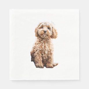 Cockapoo Cavoodle Labradole Cute Puppy Dog - Pood Servet