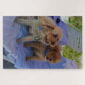 Cockapoo Dogs Tropische Bloedfamilie Vacfoto Legpuzzel (Horizontaal)