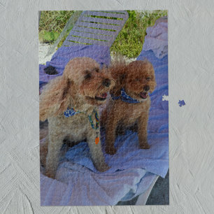 Cockapoo Dogs Tropische Bloedfamilie Vacfoto Legpuzzel