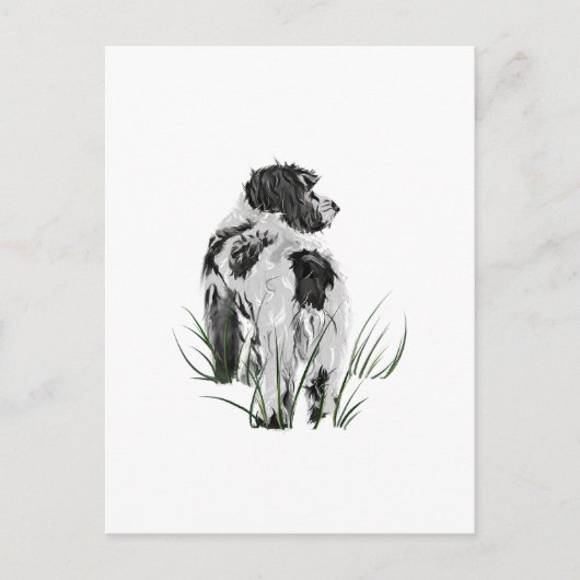 Cockapoo-hond, aquarel ansichtkaart briefkaart (Voorkant)