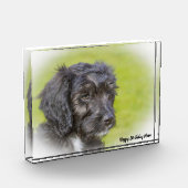 Cockapoo hond. fotoblokken (Links)