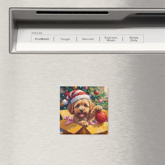 Cockapoo-hond Kerstcadeau Doos Verrassing Magneet (Insitu (Vaatwasser))