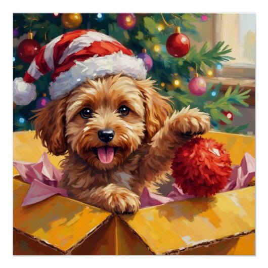 Cockapoo-hond Kerstcadeau Doos Verrassing Perfect Poster (Voorkant)
