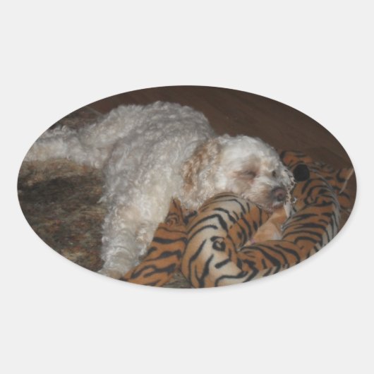 Cockapoo hond ontspannen op zijn tijger gestreept ovale sticker (Voorkant)