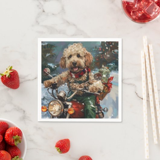 Cockapoo-hond rijdt op motorfiets met Kerstmis Servet (Insitu)