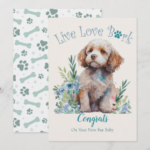 Cockapoo hondenadoptie, Gotcha-dag Kaart