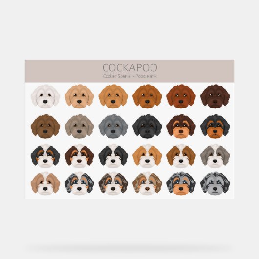 Cockapoo hondenmix acryl bord (Voorkant)