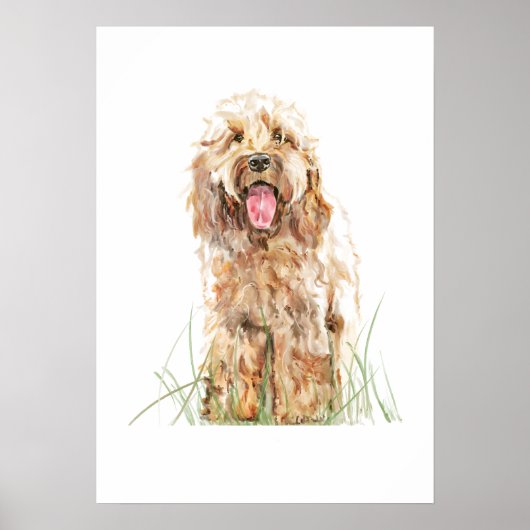 Cockapoo-hondposter, watercolor wandkunst poster (Voorkant)