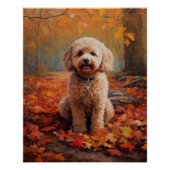 Cockapoo in de herfst laat Herfst inspireren Perfect Poster (Voorkant)