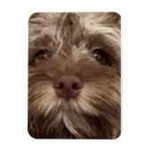  "COCKAPOO" MAGNEET (Verticaal)