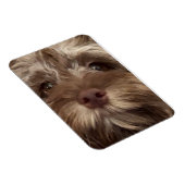  "COCKAPOO" MAGNET MAGNEET (Rechterzijde)