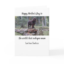 Cockapoo Moederdag Kaart