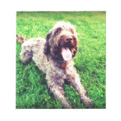 Cockapoo Notitieblok (Voorkant)