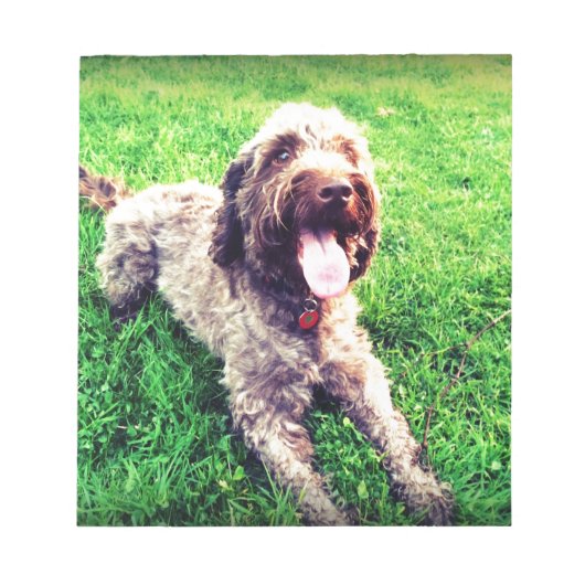 Cockapoo Notitieblok (Voorkant)