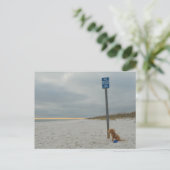 Cockapoo op het strand, Briefkaart (Staand voorkant)
