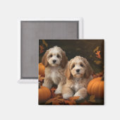 Cockapoo Pup Autumn Delight Pompoen  Magneet (Voorkant / Achterkant)