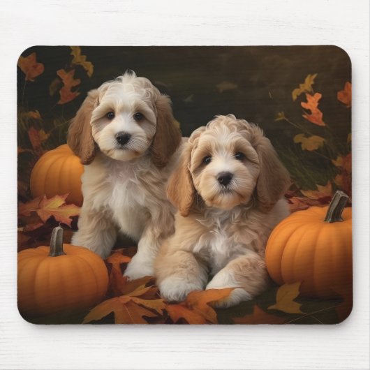 Cockapoo Pup Autumn Delight Pompoen  Muismat (Voorkant)