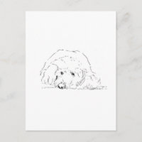 Cockapoo Puppy, Cadeau voor hondenliefhebbers
