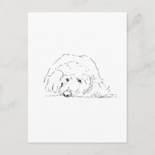 Cockapoo Puppy, Cadeau voor hondenliefhebbers Briefkaart