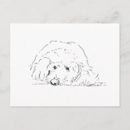 Cockapoo Puppy, Cadeau voor hondenliefhebbers Briefkaart