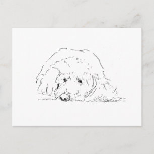Cockapoo Puppy, Cadeau voor hondenliefhebbers Briefkaart