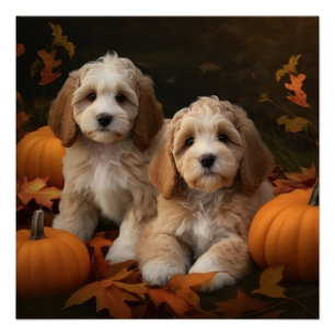 Cockapoo Puppy Herfst Delight Pompoen Perfect Poster