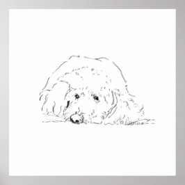 Cockapoo Puppy Poster, Cadeau voor hondenliefhebbe Poster
